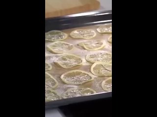 Не буду идиоткееее высоцкой лизать 👅. А я хочу трахаться и целоваться 💋, только я староеСлабоумноеЧмо... - Тамара Тома