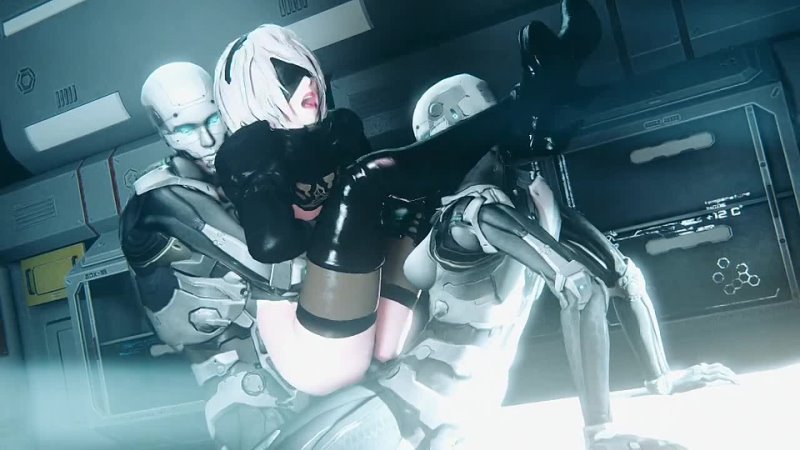 nier, first, assembly.