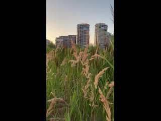 Набережная Казанки у Чаши😍 (видео)