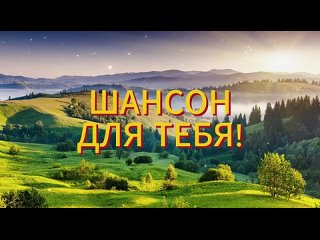Слушать шансон! Душевные песни хиты! 2025 Сборник шансона! ЛУчшее шансон (7)