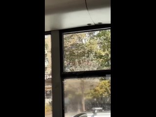 Коротко о состоянии автобуса маршрута 67А.   В салоне царит полная антисанитария: грязные полы, оторванные панели,... (видео)