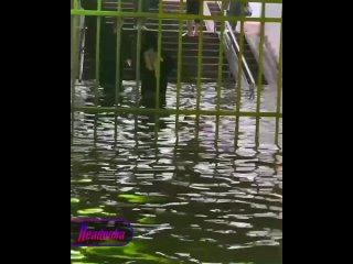Терпение москвичей заканчивается, а дожди нет — в столице за ночь и утро выпала месячная норма осадков    В отдельных... (видео)