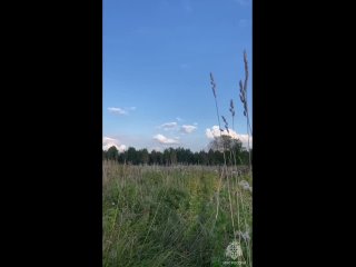 ❗ Также были найдены 5 авиационных бомб (ФАБ-100) - их заметили около ж/д платформы в Тосненском районе Ленобласти.  ... (видео)