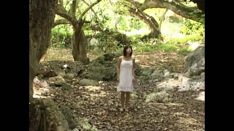 [LCDV-20061] 小向美奈子 Minako Komukai – STEPS