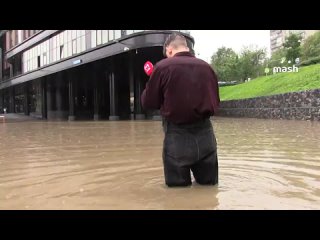 Наш бесстрашный специальный корреспондент Шпак буквально по пояс залез в новостную повестку.    Прямое включение с... (видео)