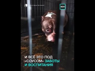Певица Мона и блогер [https://vk.com/infomoscow24?w=wall-35068738_4705670|Эльдар Джарахов вместе с полицией вскрыли... (видео)
