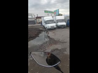 Лужу вижу фруктов нет😁 - Михаил Михаил