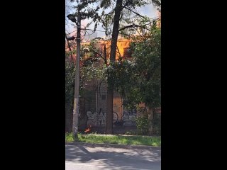 ❗️Подробности пожара двухэтажного дома у перекрестка Полтавской и Генкиной.   По данным МЧС, площадь пожара составила... (видео)