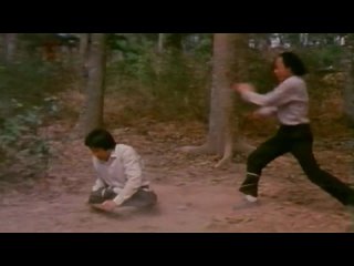 Мастера-калеки 2 / Два героя-калеки / Crippled Masters 2: Two Crippled Heroes / Can que shuang xiong (1980)  English