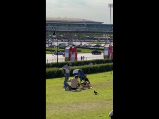 У Кремля своя атмосфера (видео)