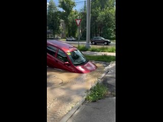 Желаю владельцу/владелице подать в суд и отсудить нормальную компенсацию - Nik Savichev