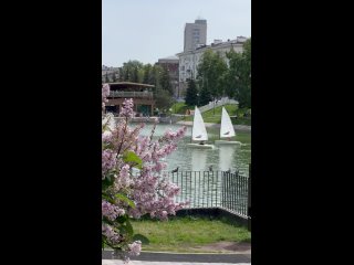 Как проходит благотворительная  регата в парке Черное озеро Трансляция от нашего фотографа (видео)