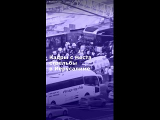 Огонь велся по пассажирскому автобусу. Пострадали в общей сложности 12 человек.    Видео: ТАСС/Reuters/Scopal (видео)