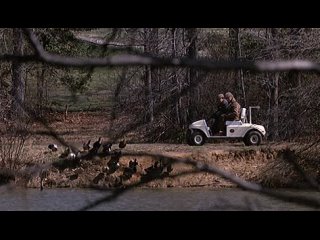 Лучшие друзья