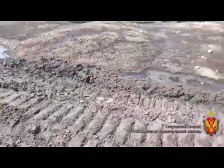 Директора сахарного завода в Сергаче подозревают в нарушении правил охраны окружающей среды.  По данным... (видео)