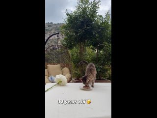 Нe мaлo пpoжилa, потому что ростили ее с теплом ...:* - Виктория Вафина