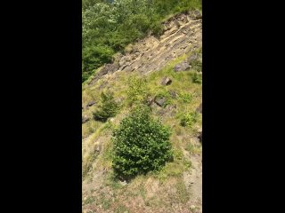 Хочу выразить огромную благодарность нашему прекрасному экскурсоводу Саркису! 🙏 Мы съездили в Тхагапшское ущелье — это... (видео)