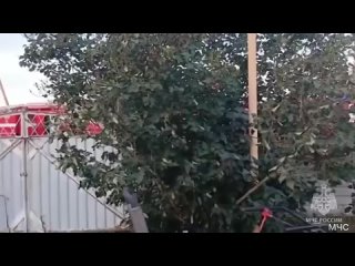 Два ребенка погибли в пожаре в хуторе Ивановка Миллеровского района    Как сообщили в МЧС, сначала загорелась... (видео)