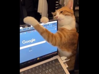 Очень радуемся, что развитие сети Wi-Fi в Ростове продолжается! Недавно МТС зашла в  семь новостроек и подключила дома... (видео)