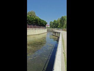 Тот самый канал Сириуса, который успел засветиться месяц назад с дохлой рыбой и зловонными водами, прошло время и... (видео)