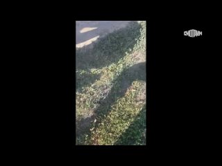 Планировали теракт: трёх агентов Киева задержали в Краснодарском крае 😡  Двое из них — россияне, третий — уроженец... (видео)