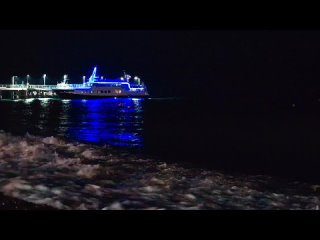 Мне вот только не понятно зачем каждый день салюты пускают......ничего что каждый день объявляют по смс про беспилотную... - Диана Губина