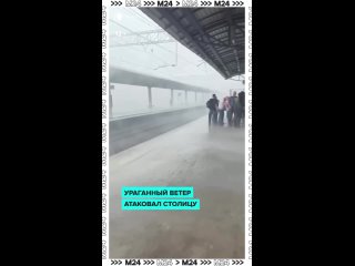 Штормовая обстановка в столице!    Сильнейший дождь и ветер, гнущий деревья к земле — в такую погоду лучше вообще не... (видео)