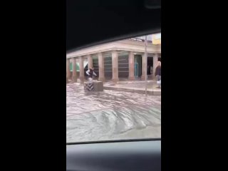 Обёртка красивая, начинка тухлая! - Жора Гусейнов