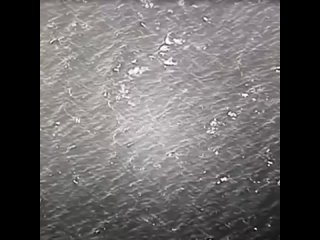 В США дали «отпор» НЛО    В Конгрессе США состоялась демонстрация видео с неопознанным летающим объектом (НЛО), снятым... (видео)