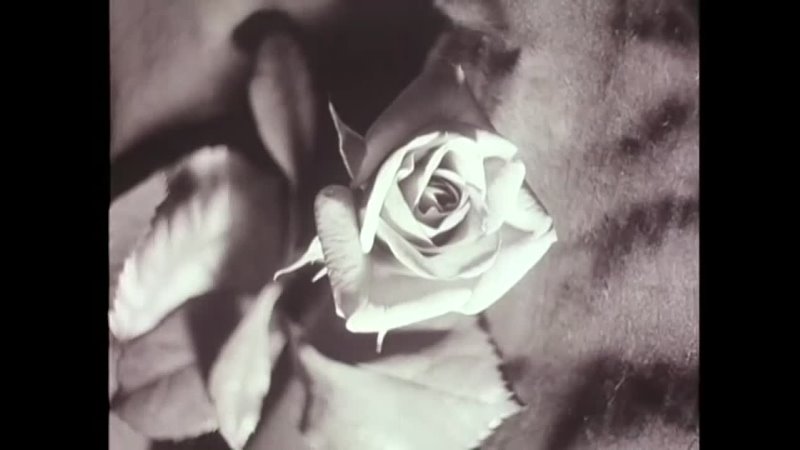 Françoise Hardy - Mon amie la rose (1965)