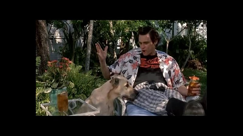Фильм Эйс Вентура: Розыск домашних животных (1993) , Ace Ventura: Pet