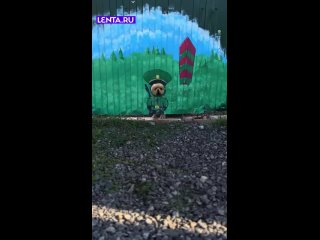 Прибалтийская граница? - Анатолий Васнецов