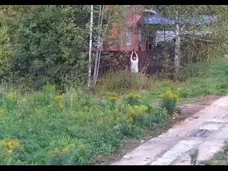 🚨 ФСБ задержала в Ижевске украинского агента, готовившего убийство ведущего сотрудника предприятия ОПК.  Сотрудники... (видео)