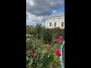 Сквер с виноградами у Кремля (видео)