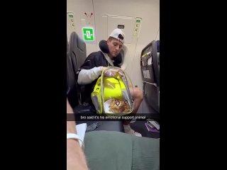 Парень сказал, что курочка гриль это его животное для эмоциональной поддержки и его спокойной пропустили.  Вот как надо! (видео)