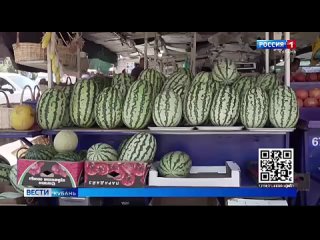 На 20 «мальчиков» приходится всего одна сладкая «девочка»  Выбираем лучший арбуз и проверяем его качество 🍉   В... (видео)