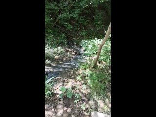 Подписчик снял видео слива канализационных стоков в ручей, который втекает в реку Мацеста.  Территориально: ручей... (видео)