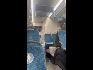 Видно о том, как девушка убирает за пассажирами в московском общественном транспорте, вызвала волну положительных... (видео)