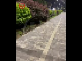 ⚡️Глава администрации «Сириуса» в Краснодарском крае сообщил, что произошло попадание по нефтебазе.   «Прошу... (видео)