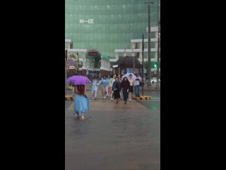 Коротко о вчерашнем дне в одном видео (видео)