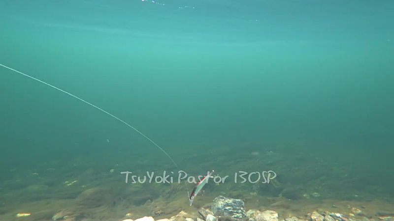 Underwater video Tsu Yoki Великолепная пятёрка