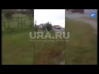 В Курганской области мужчина кинул гранату в скандальный бар    В Далматовском округе произошел серьезный инцидент:... (видео)