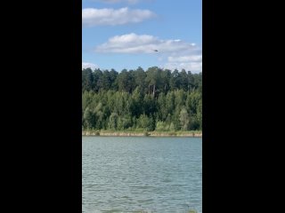 Лебяжьи озера (видео)