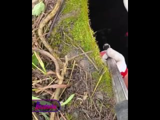 В Калужской области местные жители организовали спасательную операцию по спасению бобра из колодца    Почти у самого... (видео)