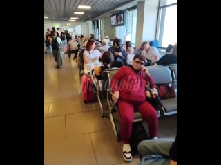 Обстановка в питерском аэропорту — пассажиры жалуются на массовые задержки и лютую жару    Вот уж откуда-откуда, а из... (видео)
