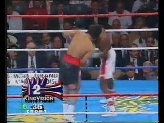 Большой Ринг: Felix Trinidad vs Luis Ramon Campas