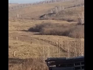 Рубрика "Не у нас"  В Красноярском крае собаки насмерть загрызли 10-летнего мальчика  По версии следствия, утром... (видео)