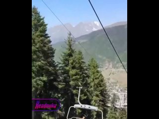 Песеля без хазяев заметили на канатной дороге в Сочи    Хвостатого покорителя вершин увидели на канатной дороге Красной... (видео)