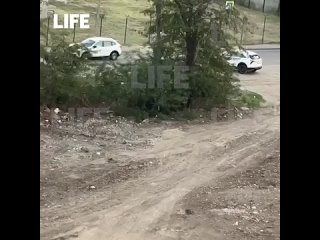 Ребёнок за рулём протаранил шлагбаум в Краснодаре    Инцидент произошёл на парковке у жилого комплекса «Цветы», когда... (видео)