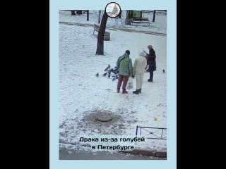 Осуждена дама, напавшая на пенсионерку из-за голубей  Суд назначил компенсацию морального вреда петербурженке, которая... (видео)
